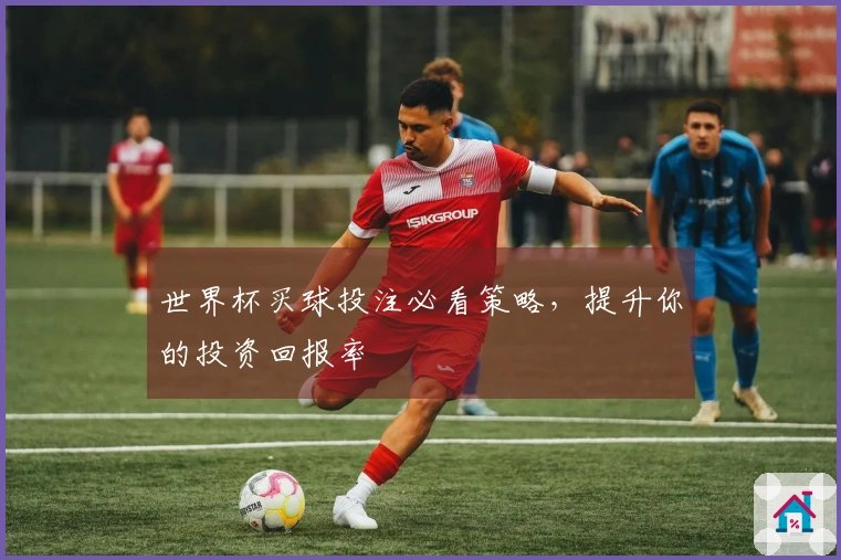 世界杯买球投注必看策略，提升你的投资回报率