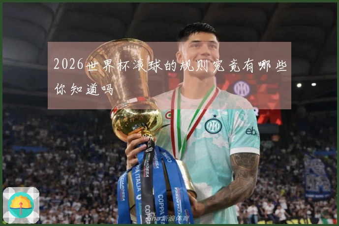 2026世界杯滚球的规则究竟有哪些你知道吗