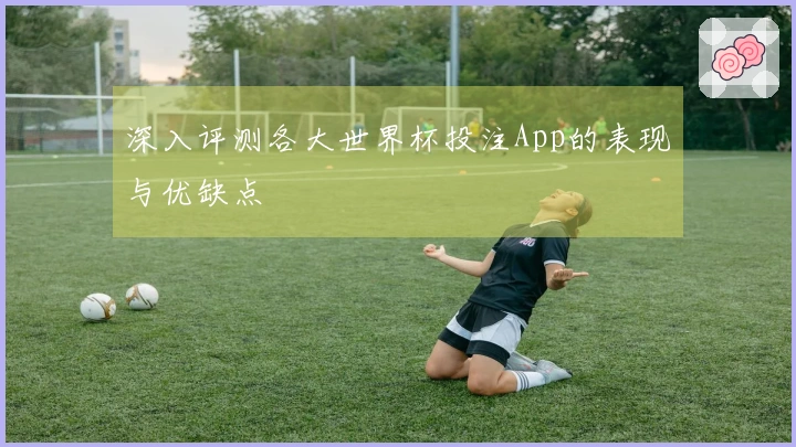 深入评测各大世界杯投注App的表现与优缺点