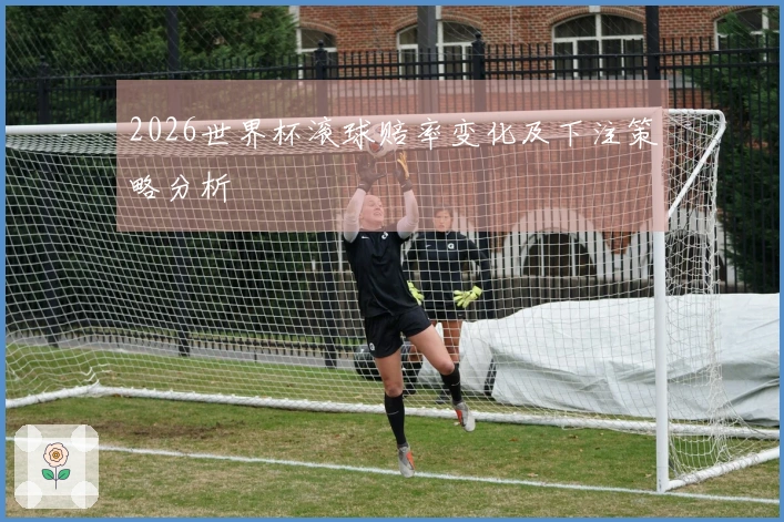 2026世界杯滚球赔率变化及下注策略分析