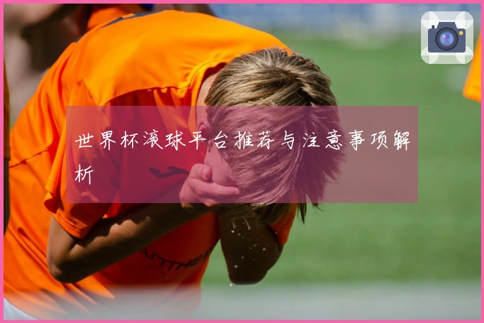 世界杯滚球平台推荐与注意事项解析