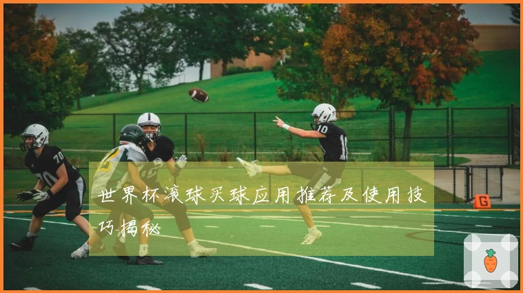 世界杯滚球买球应用推荐及使用技巧揭秘