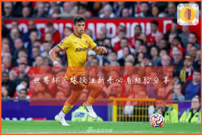 世界杯买球投注新手必看经验分享
