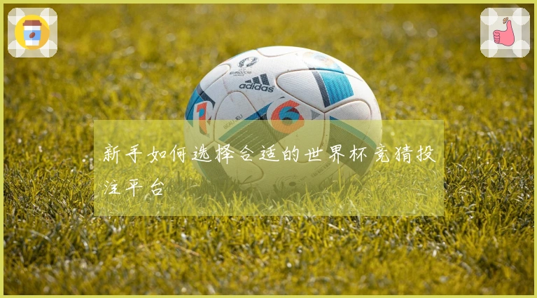 新手如何选择合适的世界杯竞猜投注平台
