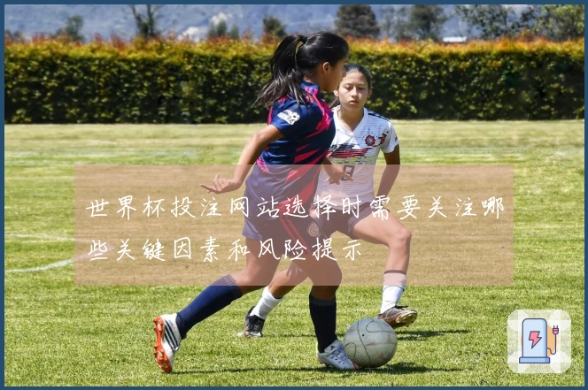 世界杯投注网站选择时需要关注哪些关键因素和风险提示