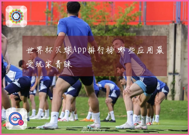 世界杯买球App排行榜 哪些应用最受玩家青睐