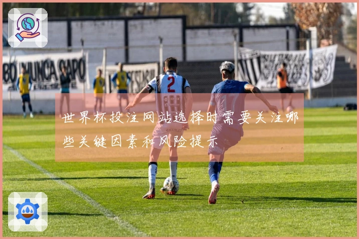 世界杯投注网站选择时需要关注哪些关键因素和风险提示