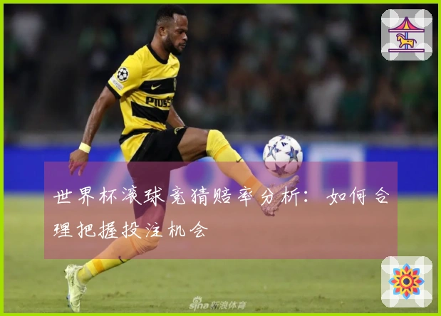 世界杯滚球竞猜赔率分析：如何合理把握投注机会
