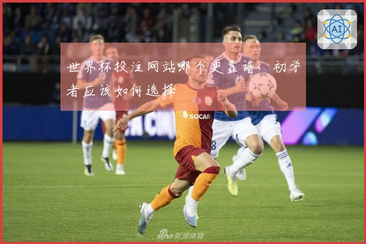 世界杯投注网站哪个更靠谱，初学者应该如何选择