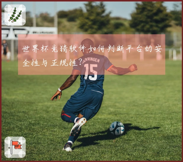 世界杯竞猜软件如何判断平台的安全性与正规性？