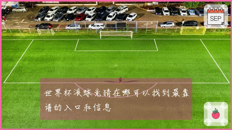 世界杯滚球竞猜在哪可以找到最靠谱的入口和信息