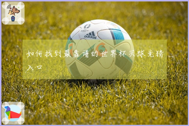 如何找到最靠谱的世界杯买球竞猜入口