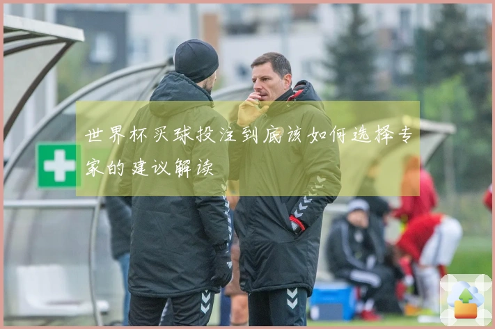 世界杯买球投注到底该如何选择专家的建议解读