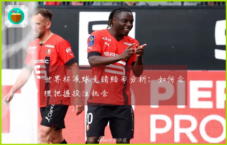 世界杯滚球竞猜赔率分析：如何合理把握投注机会